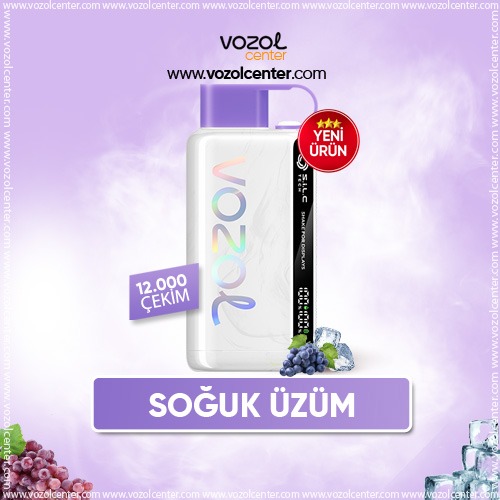 Vozol 12000 Puff Grape Ice